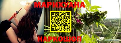 шишки Можайск