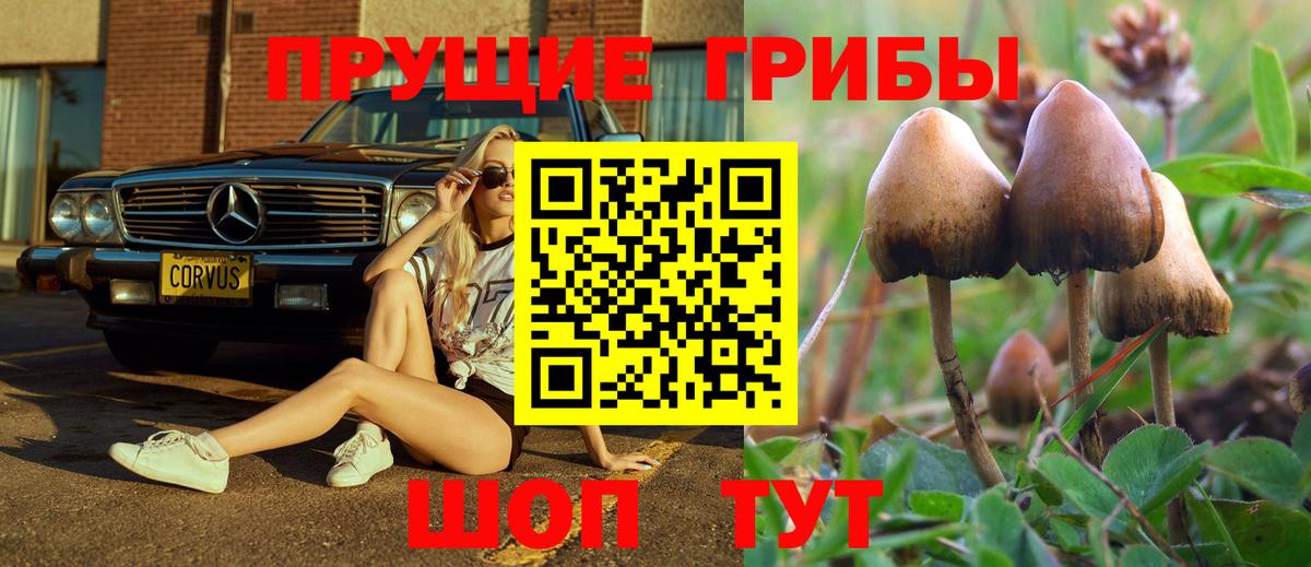 Псилоцибиновые грибы ЛСД Химки