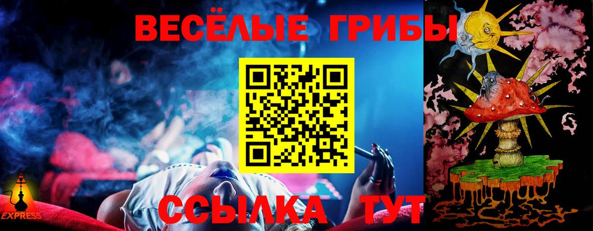 Галлюциногенные грибы Psilocybine cubensis  Вход с VPN  Химки 